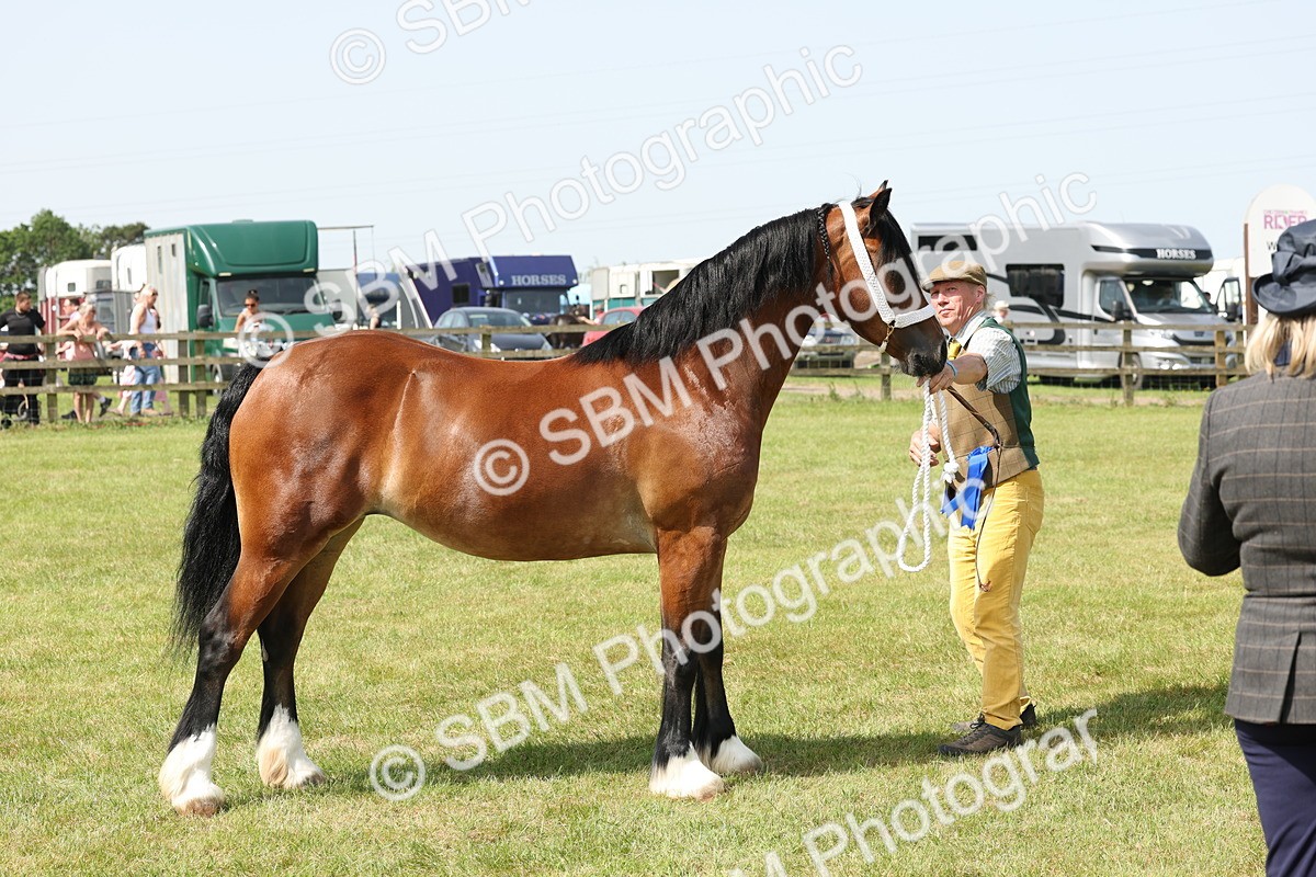 SBM_02358 - Class 6-13 - Mountatin and Moorland In Hand Welsh Breeds