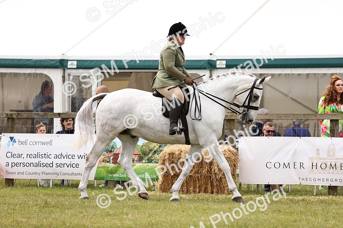 SBM_14643 - Class 88-89 - LIHS BSHA Rising Star of Ridden Hunter Type