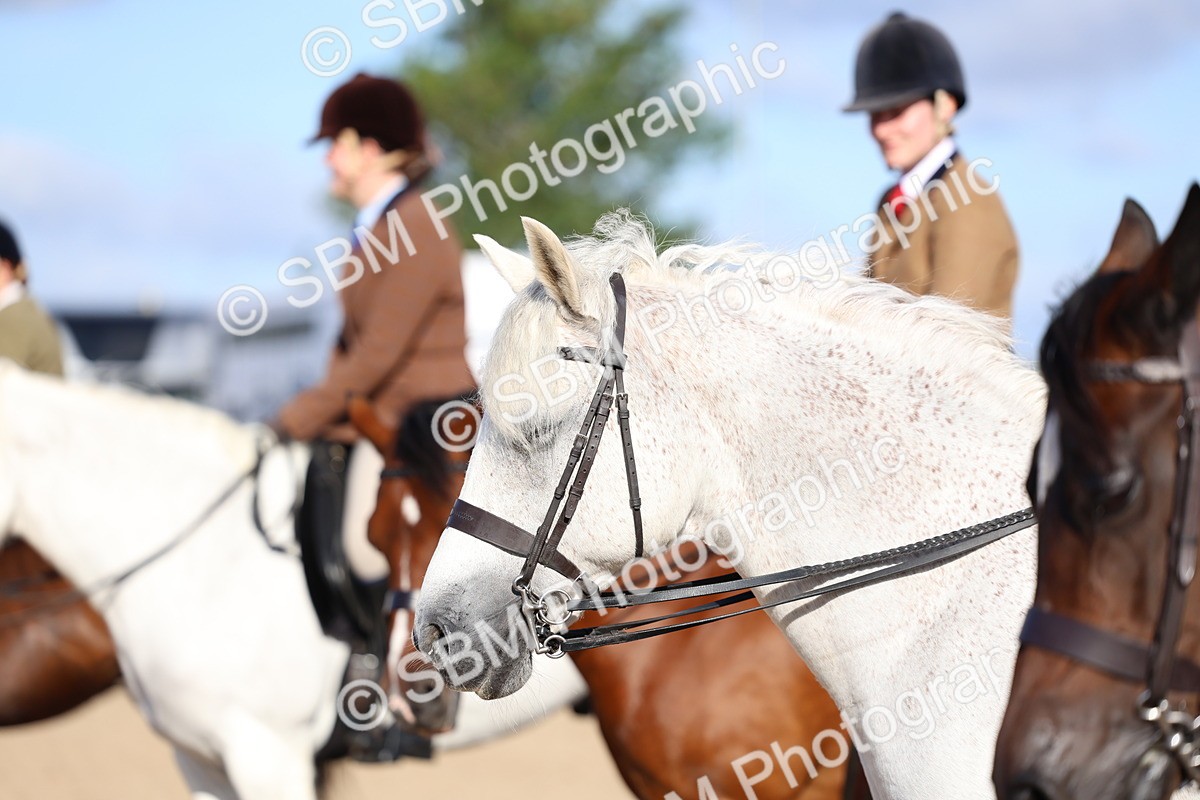 SBM_08941 - Class 302 - Ridden M&M - Large Breeds