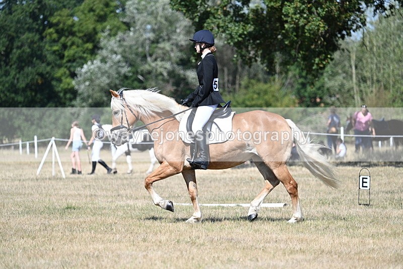 WJ7_0315 - Time 11:33 to 11:44