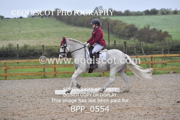 BPP_0554 - MFS PRELIM & NOV