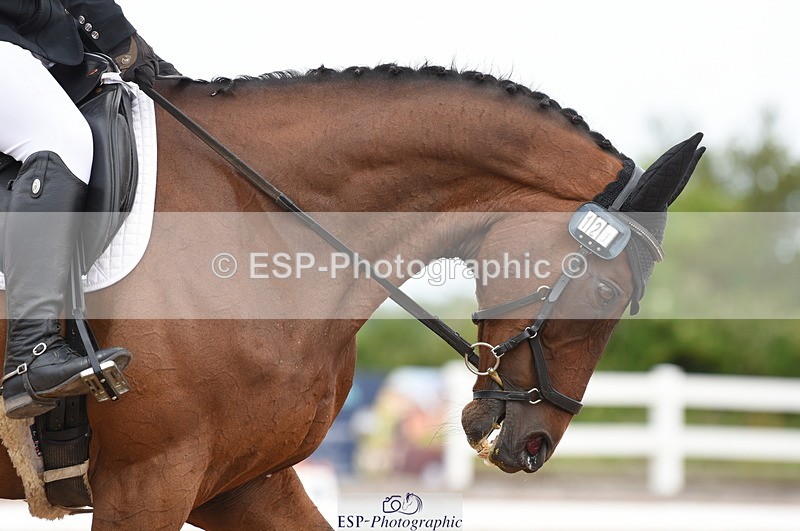 230630A-101950-00722 - Cls 4 Novice 23 Start to 11.30 break