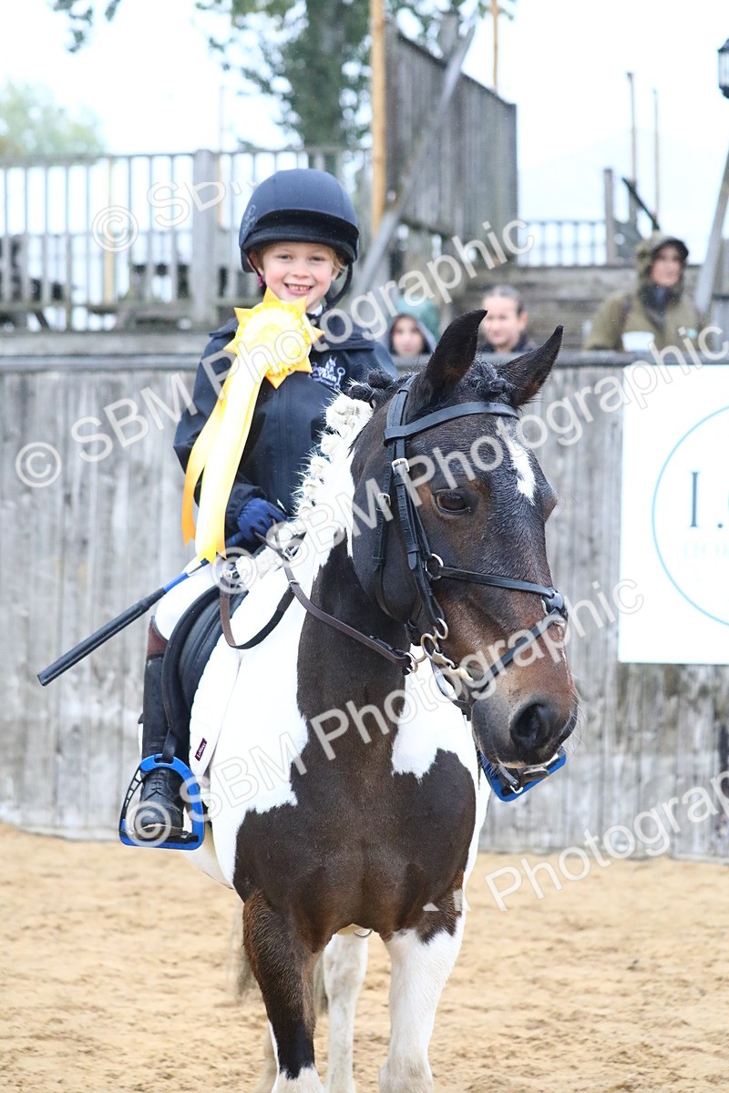 SBM_71887 - J4 - Mini Tour Junior Pony 45cm Championship