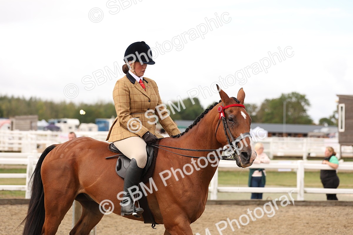 SBM_02857 - Class 53 - Ridden Competition Horse/Pony