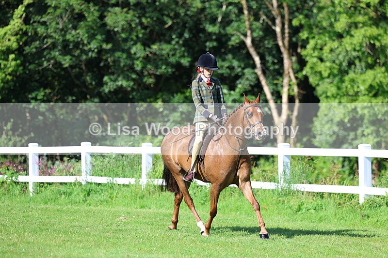 3E7A5961 - Class 27: Novice Working Hunter Pony
