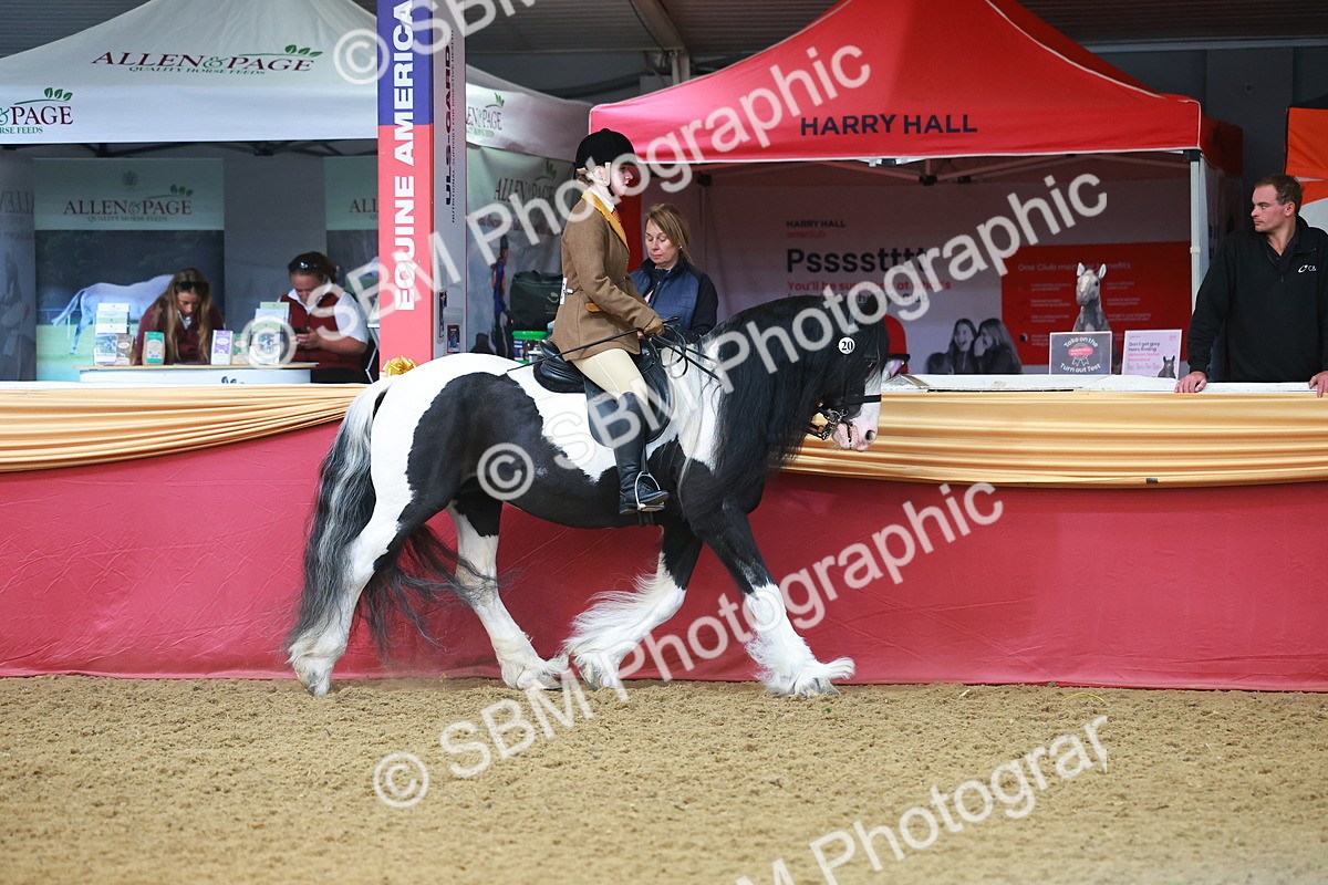 SBM_09599 - Class 102 - HOYS Veteran Qualifier - Ridden Veteran