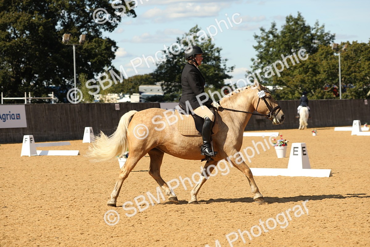 SBM_24578 - D17 - Grand Tour Championship - Novice 27
