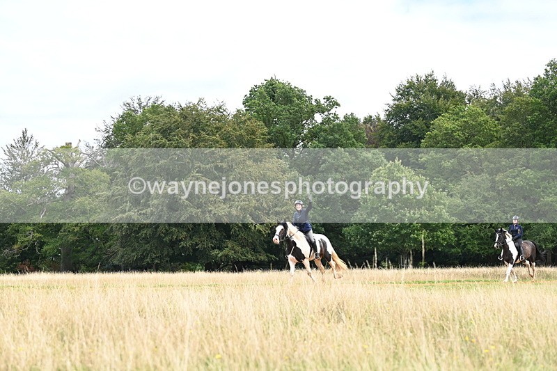 DSC_6904 - Time at Statue 12:45 to 13:15