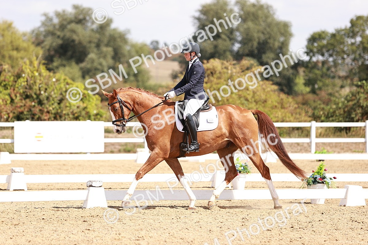 SBM_018443 - Class 17 - Novice 6