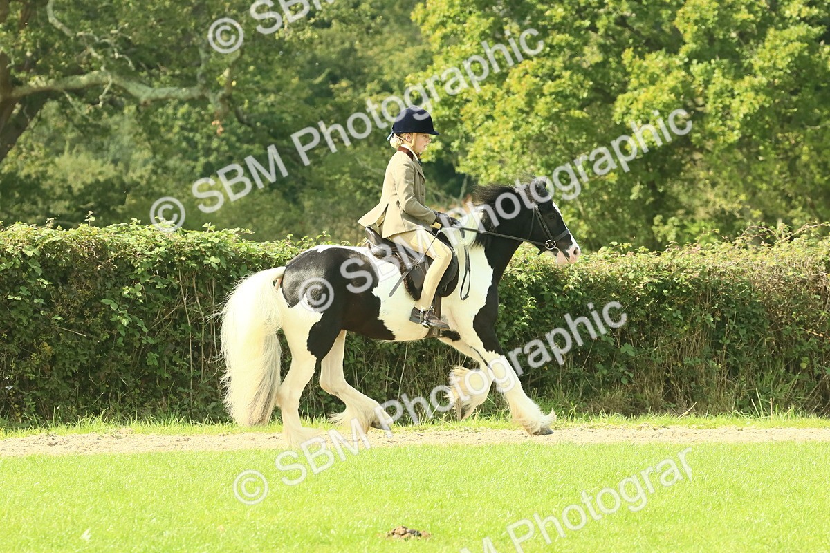 SBM_67473 - S56 - Coloured Pony Ridden