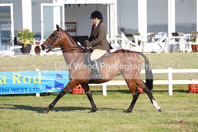 3E7A5013 - Class 1: Rising Star Small Hack/Riding Horses