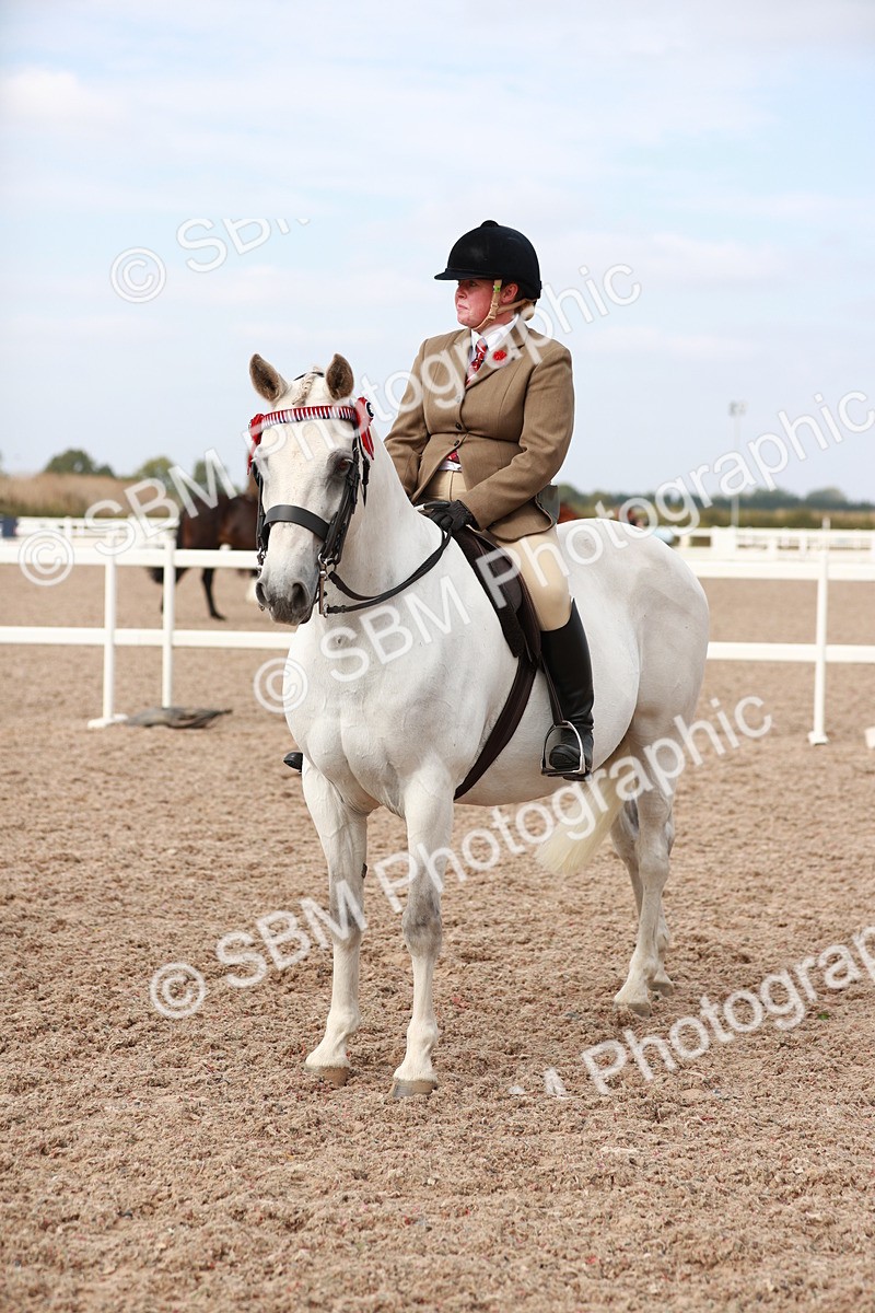 SBM_17546 - Class 215 Ridden Hack/ Riding Horse