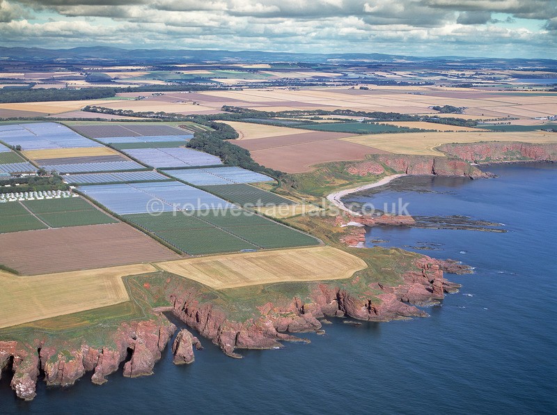 A00689C Seaton Cliffs - East and north coastlines