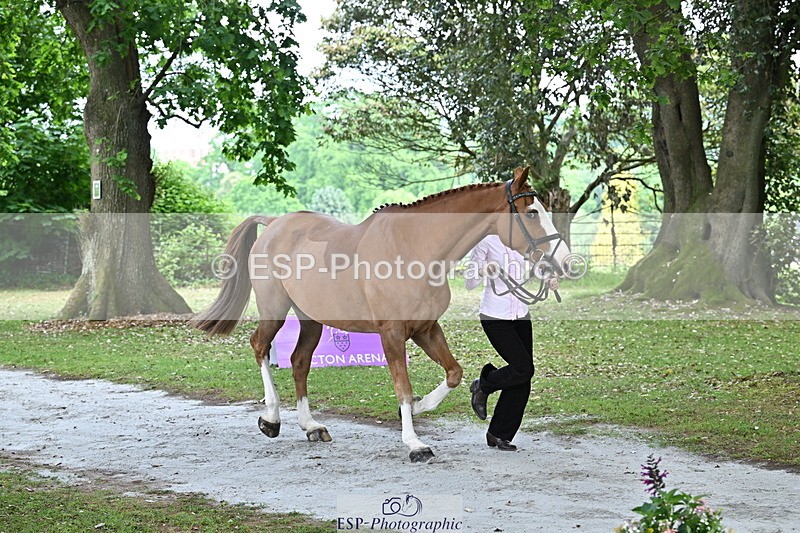 250521A-143224-00069 - A-006-Holly.Clarke-NICO