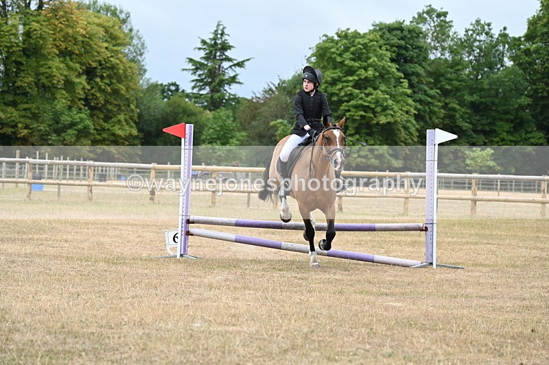 WJ6_0411 - Class 13 Novice Jumping 60cm