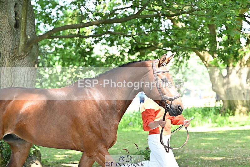 250521A-153612-00627 - B-369-Ali.Wilkes-ROCK.THE.CASPAR