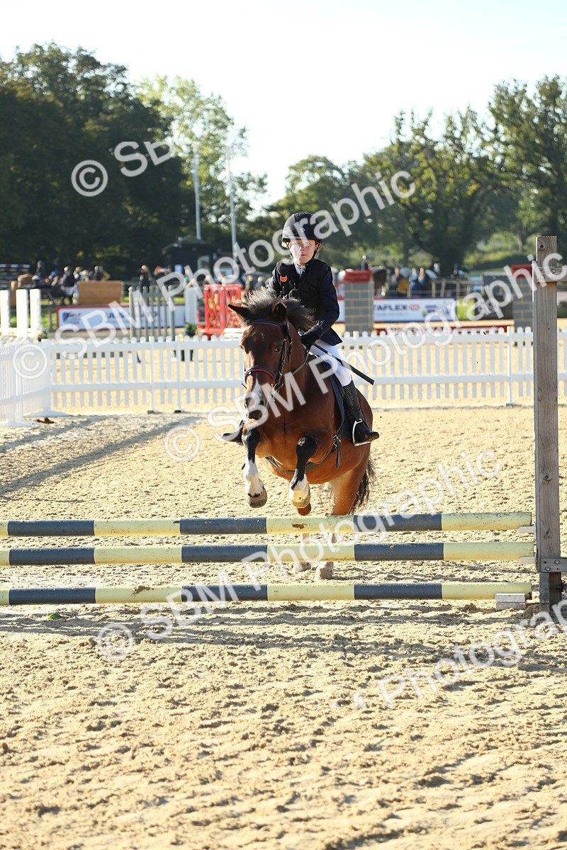 SBM_34981 - J5 - Junior Pony 50cm Championship