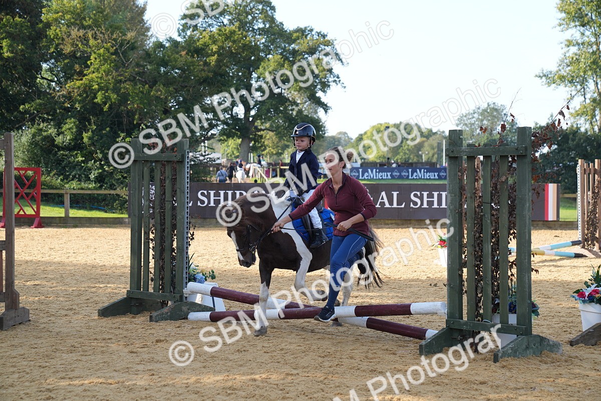 SBM_61231 - J1 - Mini Tour Junior Pony Lead Rein 30cm Championship