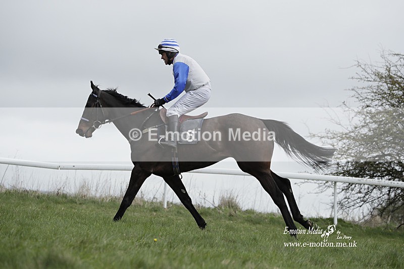 PtP 260323 0686 - New Forest Hounds Point-to-Point Larkhill 26/03/23