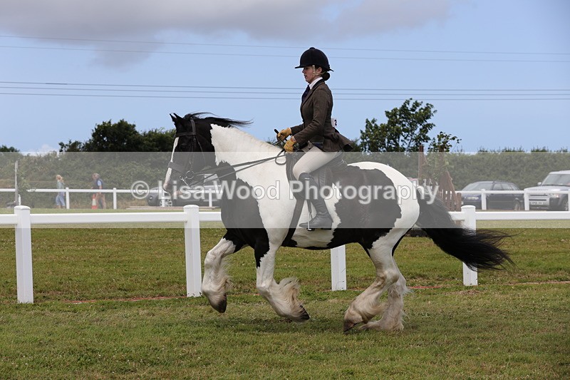 1X9A4417 - Class 34: Veteran Ridden