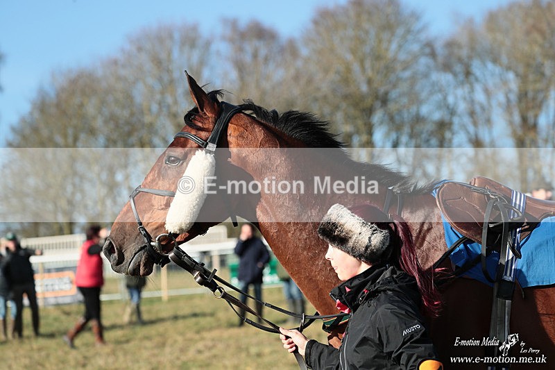 PtP 240126 9 - Cambridgeshire & Enfield Chase PtP Horseheath 24/01/26