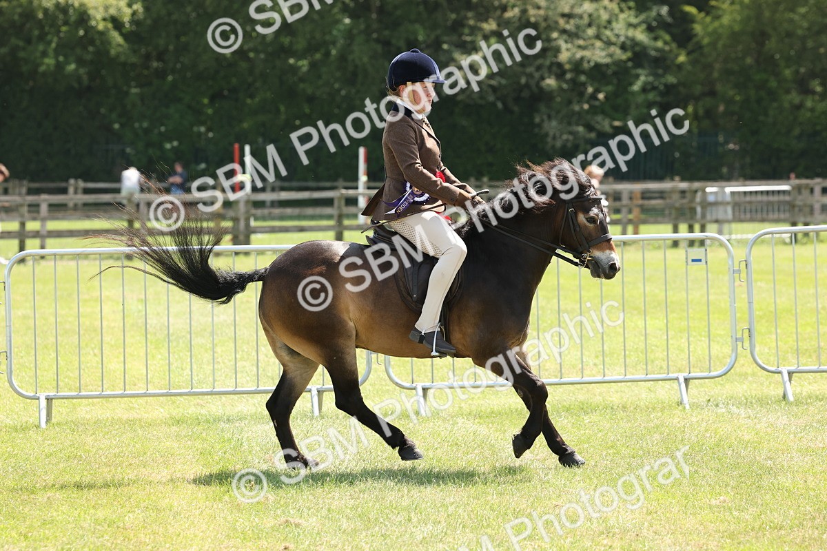 SBM_06872 - Class 26-30 - Mountain and Moorland Ridden