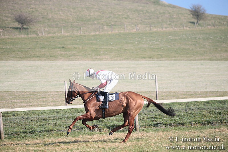 PtP 230219 177 - Vine & Craven Point-To-Point - Barbury 23/02/19