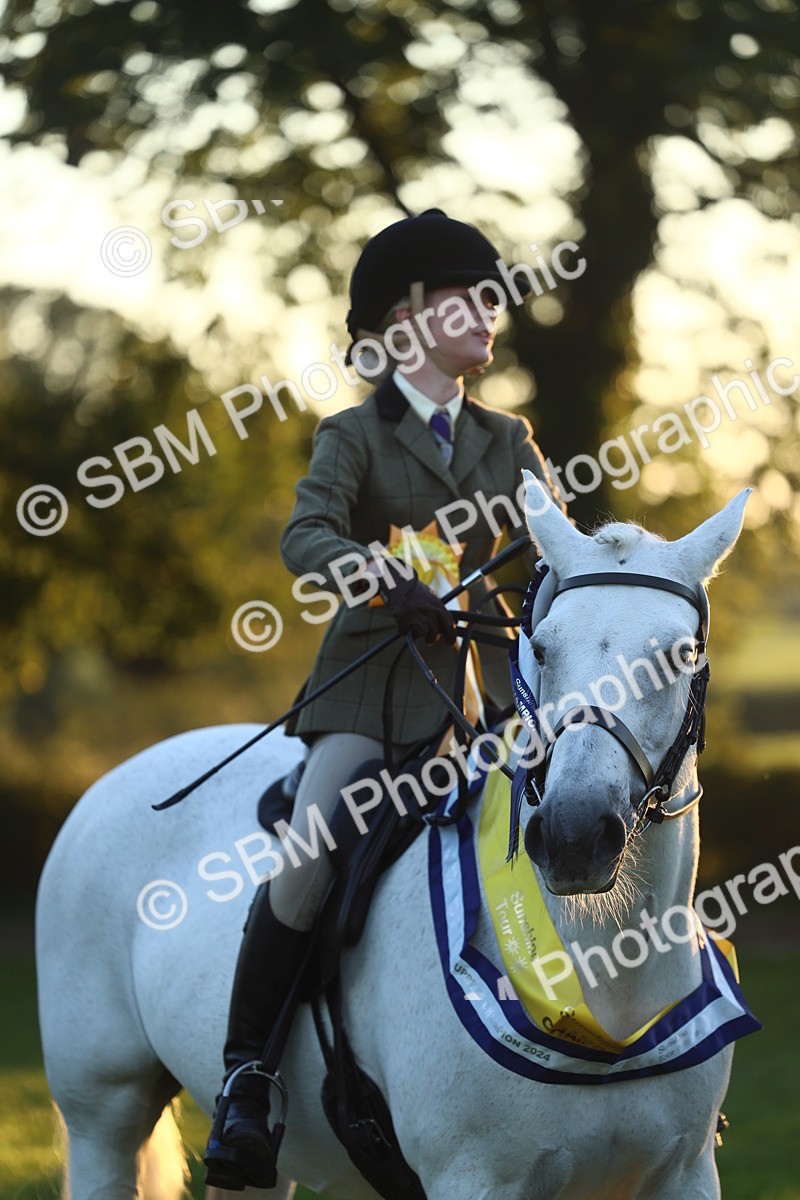 SBM_56680 - Fun & Versatile Supreme Championship