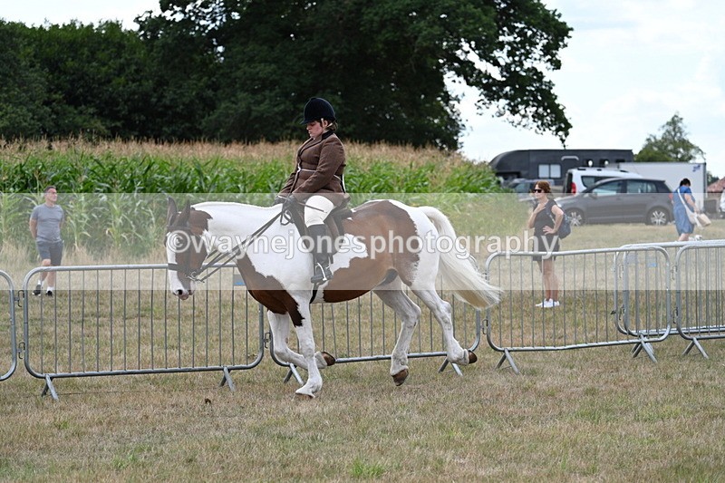 WJ7_5055 - Class 12 Ridden Cob