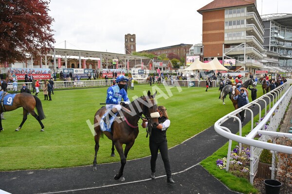 yr14052021r5-5 - Race 5 3.40pm The Jigsaw Sports Branding Handicap