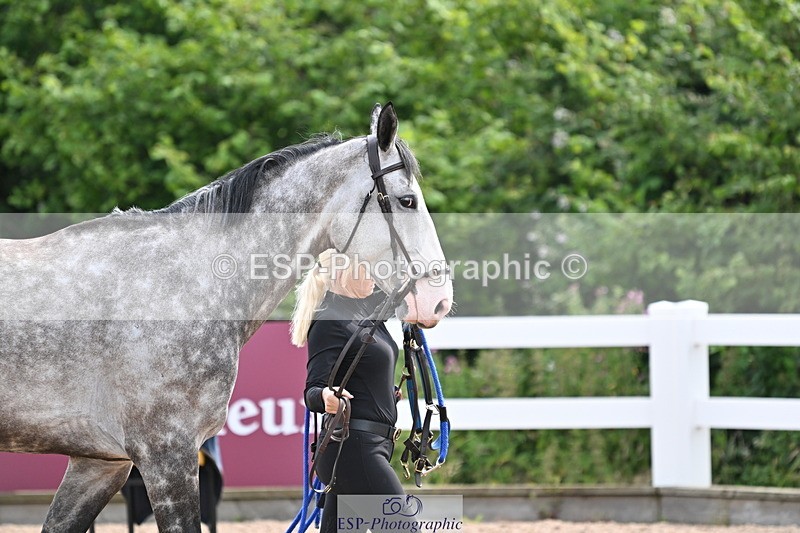 240717A-164251-03491 - Trot Up 4pm to 5pm