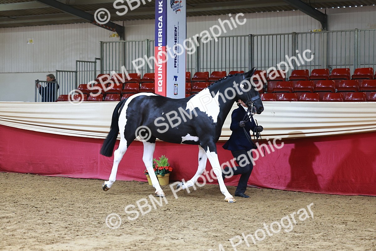 SBM_23198 - Class 903 - Supreme Final - IH Pre Vet