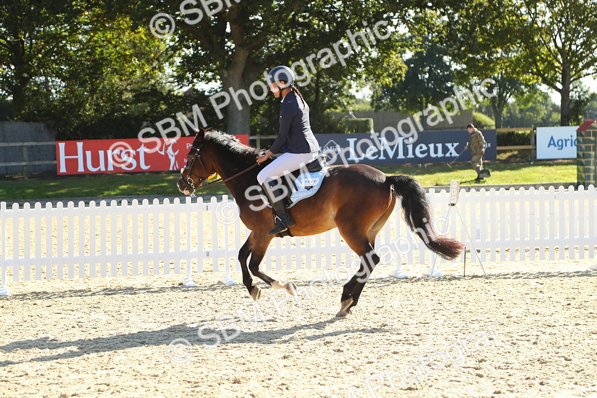 SBM_36083 - J5 - Junior Pony 50cm Championship