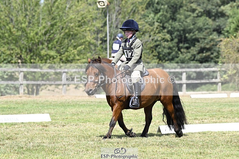 250822A-115821-22495 - DR 11.00 to 12.00