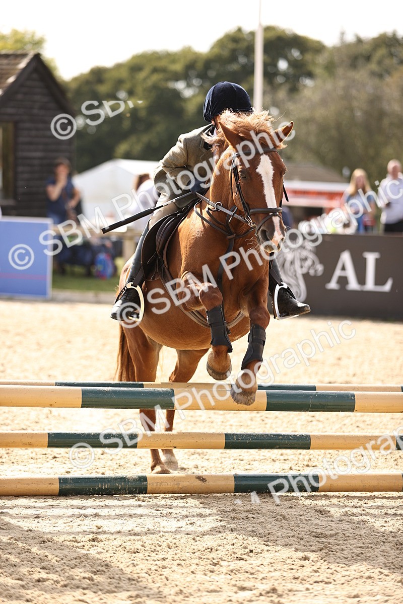 SBM_69538 - J13 - Junior Pony 60cm Championship