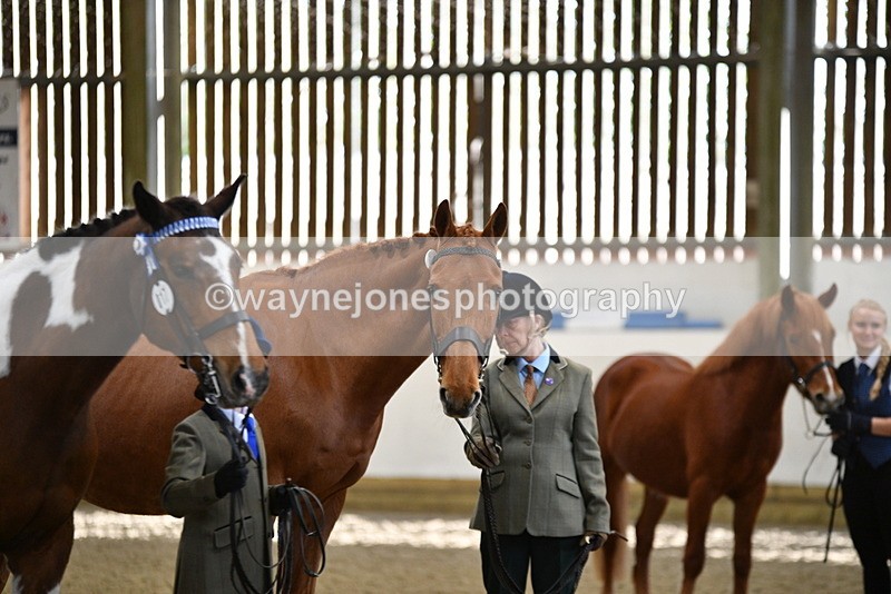 WJ5_4090 - Class 2 Best Condition In hand