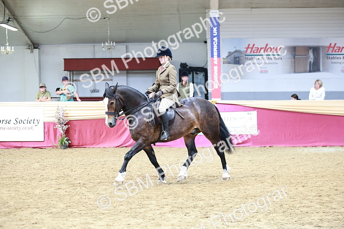 SBM_03597 - Class 6A Area Ridden Pre-Vet
