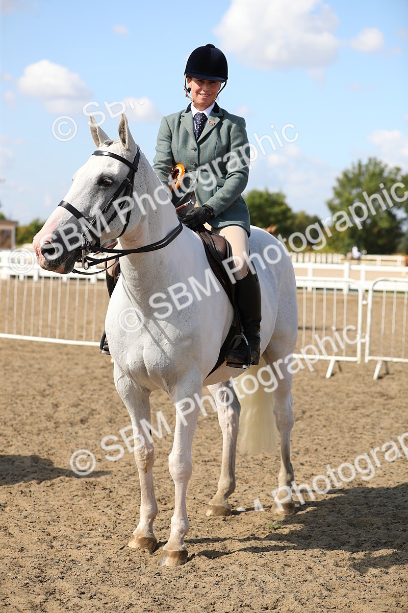 SBM_03279 - Class 44 Riding Club Horse/ Pony