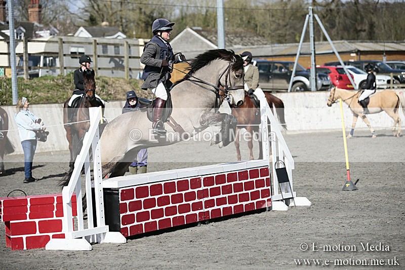 BVRC SJ 170319 200 - Bourne Valley Riding Club Showjumping 17/03/19