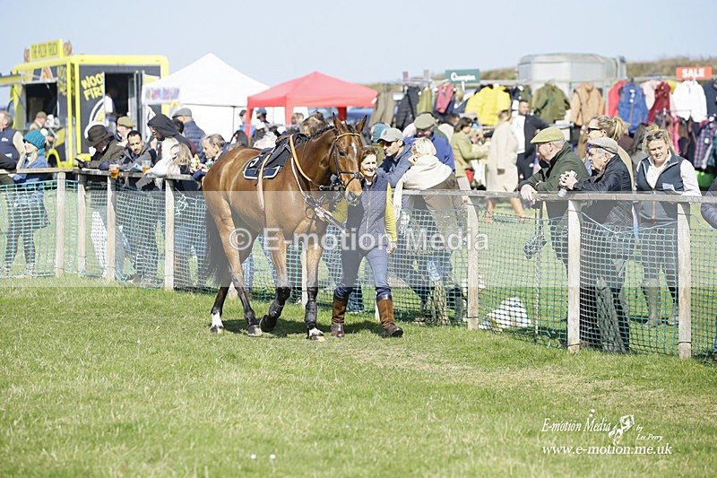PtP 190322 333 - Wilton Hunt PtP Milborne St Andrew 19/03/22