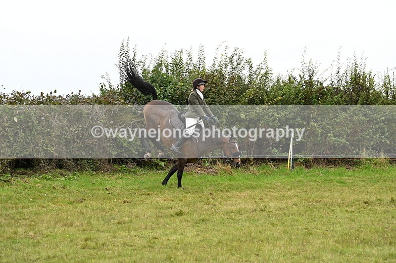 WJ7_4266 - Camera 1 Line 2