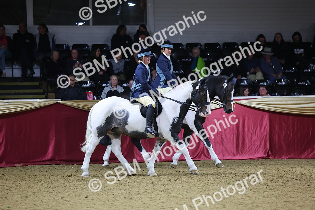 0B8A4331 - Class M Ridden Pairs Champ