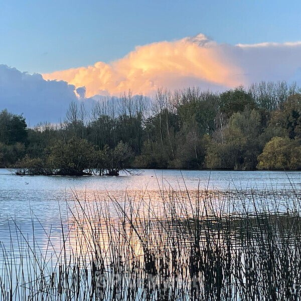 PhotoMynottART112 - Photo Mynott ART Images