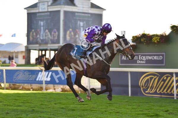 yr07102022r6-33 - Race 6 5.00pm William Hill Lengthen Your Odds EBF Novice Stakes