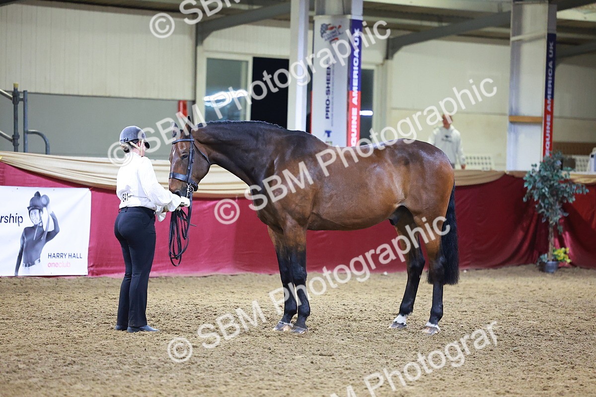 SBM_15541 - Class R - Veteran Champ