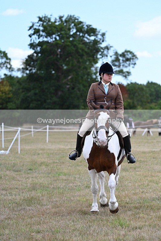 WJ7_5314 - Class 12 Ridden Cob