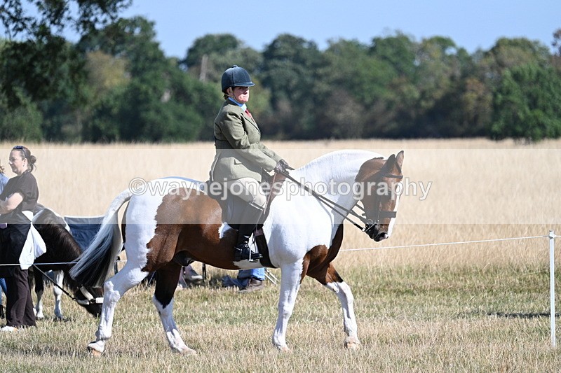WJ7_3047 - Class 8 Ridden Tack & Turnout