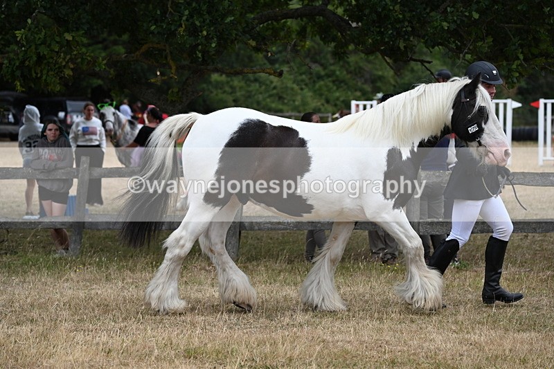 WJ6_8344 - Class 10 Coloured in Hand