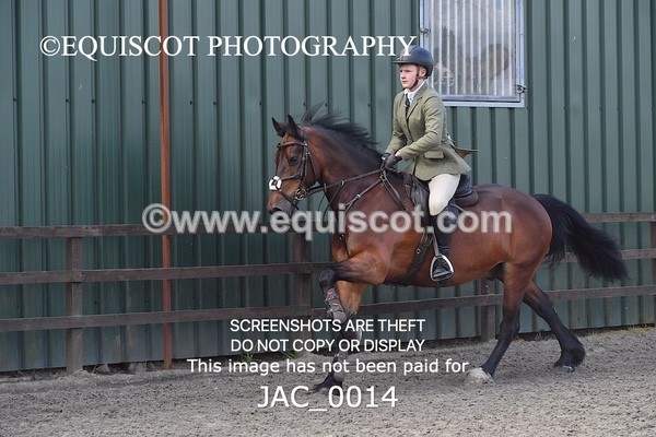 JAC_0014 - CLASS 3 Intermediate Working Hunter (0.70m - 0.85m)