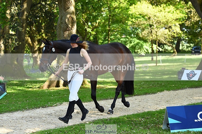 230524-161128-00746 - 254-PURE_TRENDSETTER-Ellie_Fredericks-WEDTrotUp+DR